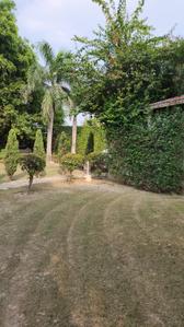 Image of 3000 Sq.ft 3 BHK Farm House for sale in DPL Nature Retreat, Tech Zone, Greater Noida for Rs. 7500000