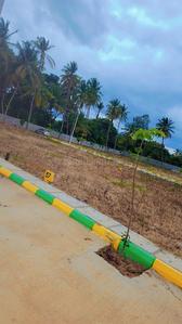 Balaji enclave Plot View 2