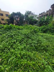 Kalikapur land Plot View 1