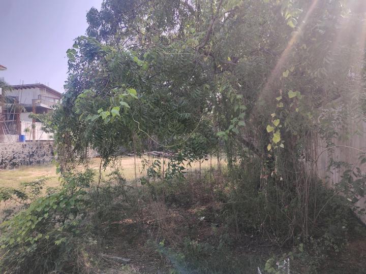 Panaiyur, Sholinganallur Main Image 1