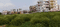 Argora Plot View 2