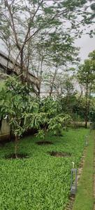 Image of 3500 Sq.ft 4 BHK Villa for sale in TATA Prive, Khandala, Lonavala for Rs. 60000000