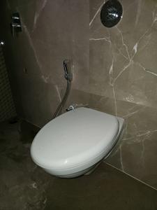 Common Bathroom Image of 1072 Sq.ft 2 BHK Apartment / Flat for sale in Majestique Towers East Phase 1, Kharadi Pune for Rs. 12300000