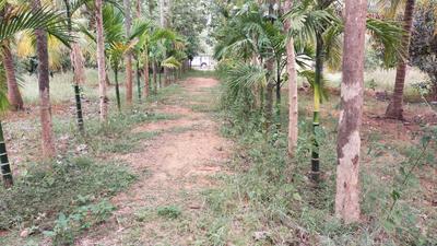 Image of 67518 Sq.ft Residential Plot / Land for sale in Harohalli, Ramnagara, Bengaluru for Rs. 43400000