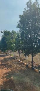 Image of 5000 Sq.ft 1 BHK Farm House for sale in Uthukkottai, Chennai for Rs. 1995000
