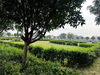 Image of 1000 Sq.ft Residential Plot / Land for sale in Kalwara, Jaipur for Rs. 2000000