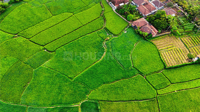 Image of 300 Sq.ft Residential Plot / Land for sale in Sector 95, Gurgaon for Rs. 48000000