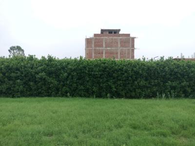 Image of 150 Sq.ft Residential Plot / Land for sale in Mansha Oaks, Sector 98, Faridabad for Rs. 16500000
