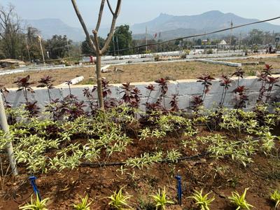 Image of 1458 Sq.ft Residential Plot / Land for sale in Mahape, Navi Mumbai for Rs. 8749000