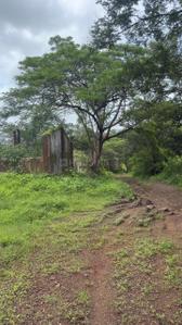 Image of 696960 Sq.ft Residential Plot / Land for sale in Murbad, Thane for Rs. 352000000
