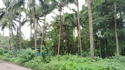 Residential Plot