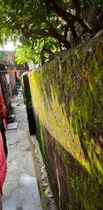 Image of 1440 Sq.ft Residential Plot / Land for sale in Dhapa, Kolkata for Rs. 7500000