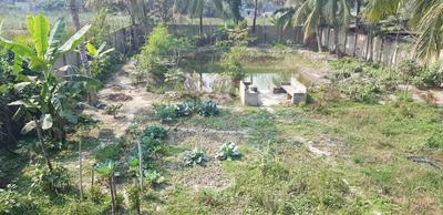 Chak Garia Plot View 2