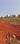 GANPATI HOMES USLAPUR Plot View 2