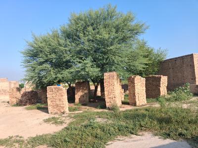 Image of 6300 Sq.ft Residential Plot / Land for sale in Shankar Colony, Sri Ganganagar for Rs. 2000000