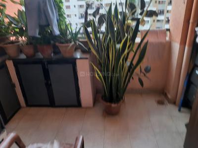 Balcony Image of 650 Sq.ft 1 BHK Apartment / Flat for rent in Magarpatta Heliconia, Hadapsar Pune for Rs. 25000