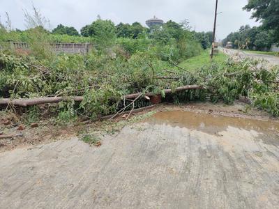Image of 260 Sq.ft Residential Plot / Land for sale in MU II, Greater Noida for Rs. 22100000