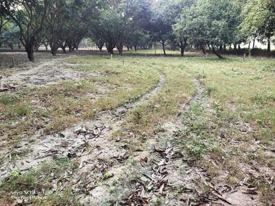 Image of 1200 Sq.ft Residential Plot / Land for sale in Narayanpur Anant, Muzaffarpur for Rs. 2300000