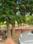 DLF City Phase 1 Main Image 1