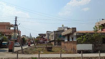 Dighori Plot View 2