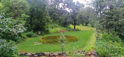 Image of 20000 Sq.ft 6 BHK Farm House for sale in Shenvad, Pune for Rs. 20000000