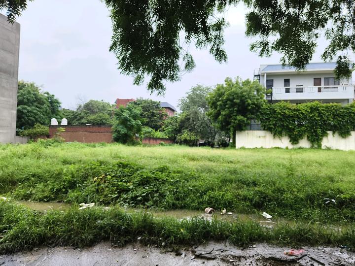 DLF City Phase 1 Main Image 1