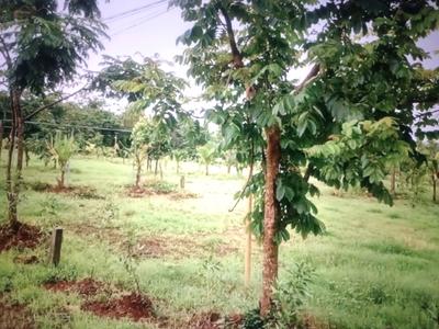 Ranjanpada Plot View 1