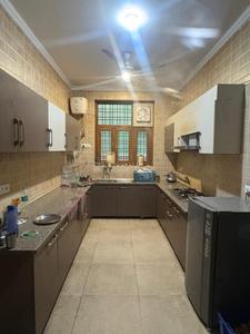 Kitchen Image of Guru kirpa pg in Sector 37, Noida