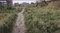 Mithapur Farm Area Main Image 1