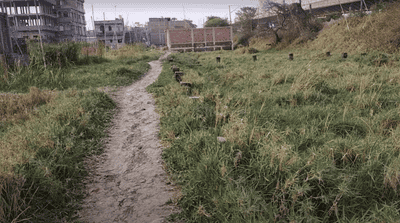 Residential Plot