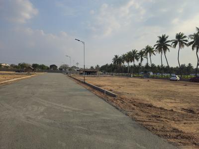 Annur Plot View 2