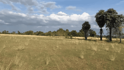 Image of 43500 Sq.ft Residential Plot / Land for sale in Kariapatti, Virudhunagar for Rs. 2500000
