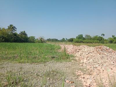 Image of 1800 Sq.ft Residential Plot / Land for sale in Royal Garden, Joka, Kolkata for Rs. 640000