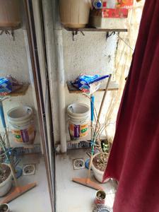 Image of 820 Sq.ft 1.5 BHK Apartment / Flat for sale in Ulwe, Navi Mumbai for Rs. 7800000
