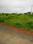 Urbana nri Plot View 2