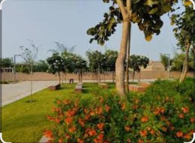 Residential Plot