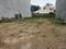 Sector 55 Plot View 2
