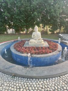 Himadri Ras Garden Plot View 3