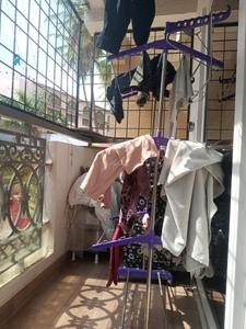Bedroom Two Image of 1135 Sq.ft 2 BHK Apartment / Flat for rent in SLV Icon, Yelahanka Bengaluru for Rs. 37000