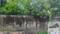 Pravasi Nagar Plot View 2