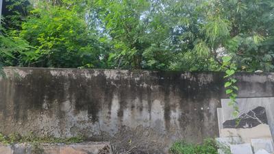 Pravasi Nagar Plot View 2
