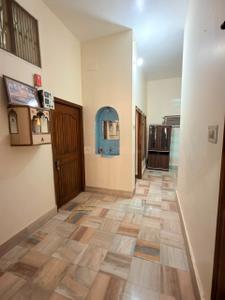 Hall Image of 1650 Sq.ft 3 BHK Builder Floor for rent in Sigra Varanasi for Rs. 25000