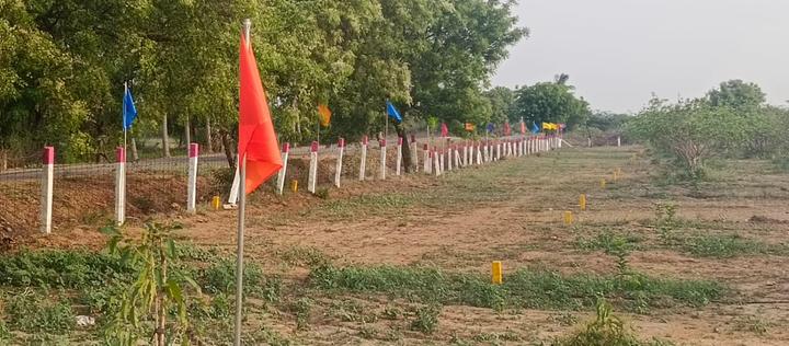 Vijay city Main Image 1