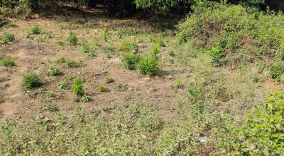 Image of 2041 Sq.ft Residential Plot / Land for sale in Khagaul, Patna for Rs. 6400000