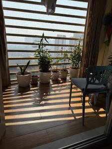 Balcony Image of 900 Sq.ft 2 BHK Apartment / Flat for rent in Soham Tropical Lagoon, Kasarvadavali Thane for Rs. 35000
