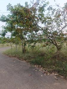 CSK GARDENS Plot View 1
