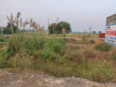 Image of 900 Sq.ft Residential Plot / Land for sale in Chhapraula, Ghaziabad for Rs. 2500003