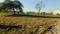 Sonewadi Plot View 2