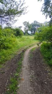 Image of 5000 Sq.ft Residential Plot / Land for sale in Sonegaon Tarf, Satara for Rs. 30000000