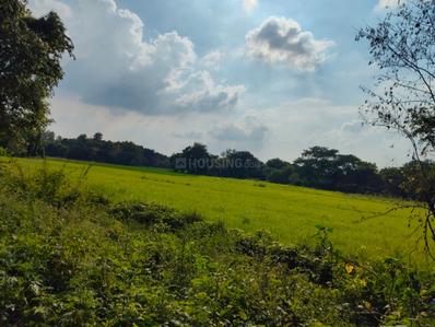Image of 43560 Sq.ft Residential Plot / Land for sale in Ashapur Village, Ayodhya for Rs. 60000000